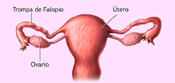 En qué consiste la obstrucción de las trompas uterinas