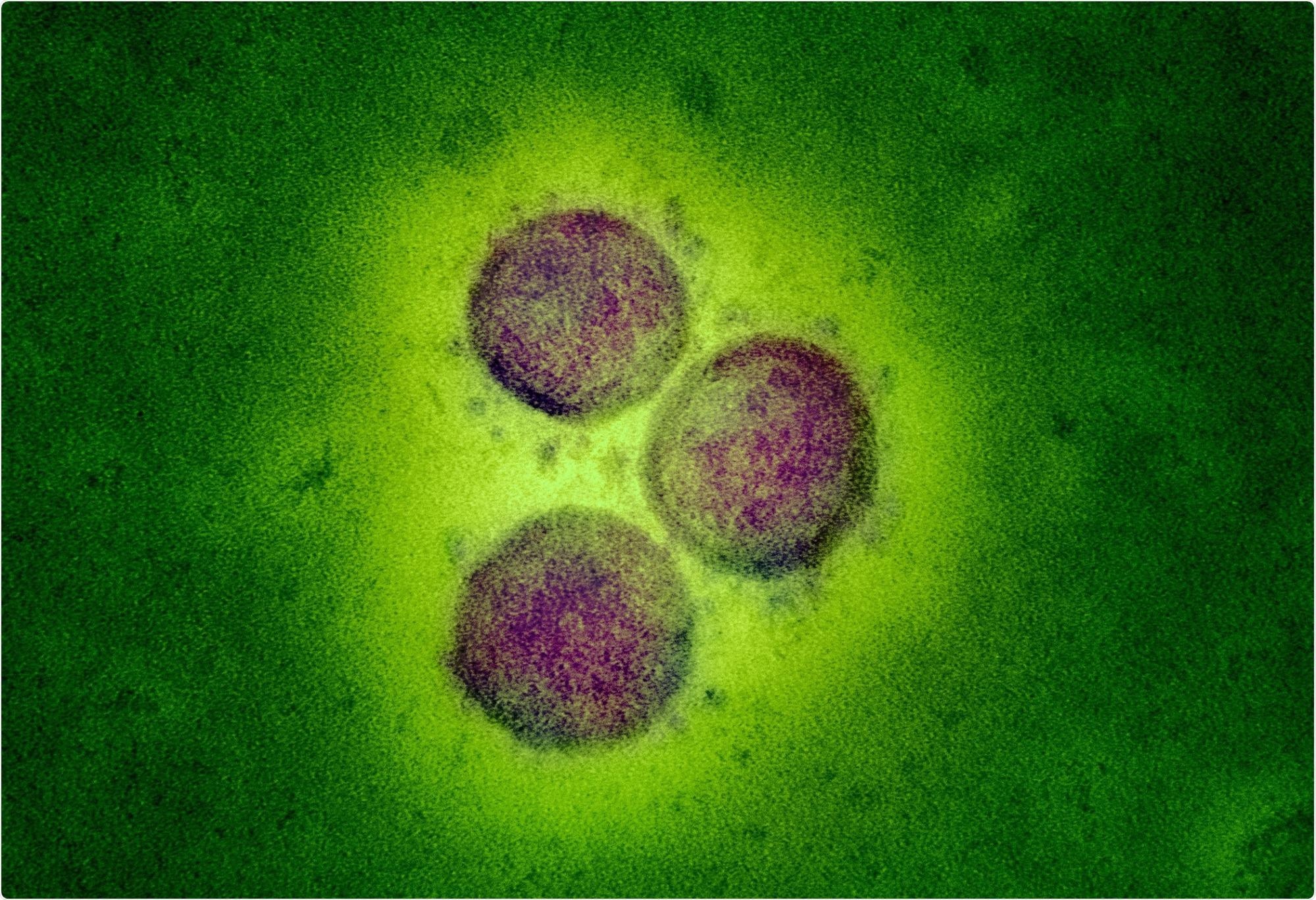 ¿Cómo afecta la infección por el SARS-CoV-2 a la fertilidad femenina?