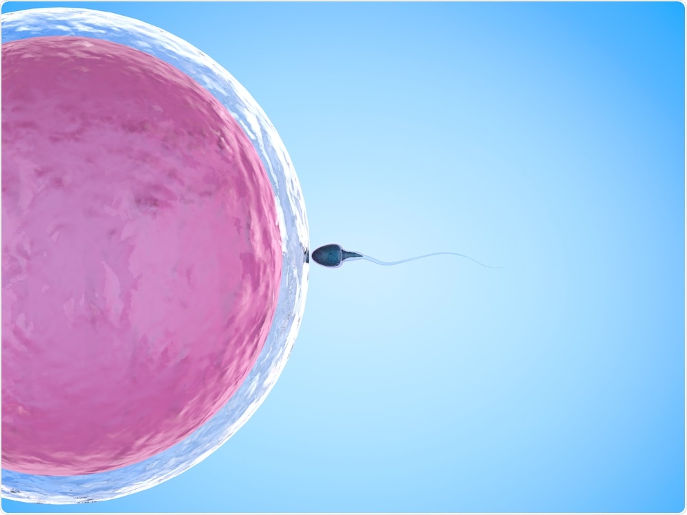 Los niños nacidos por fecundación in vitro son más propensos a desarrollar cáncer más adelante