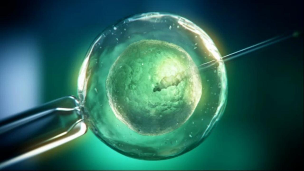 inseminación artificial in vitro