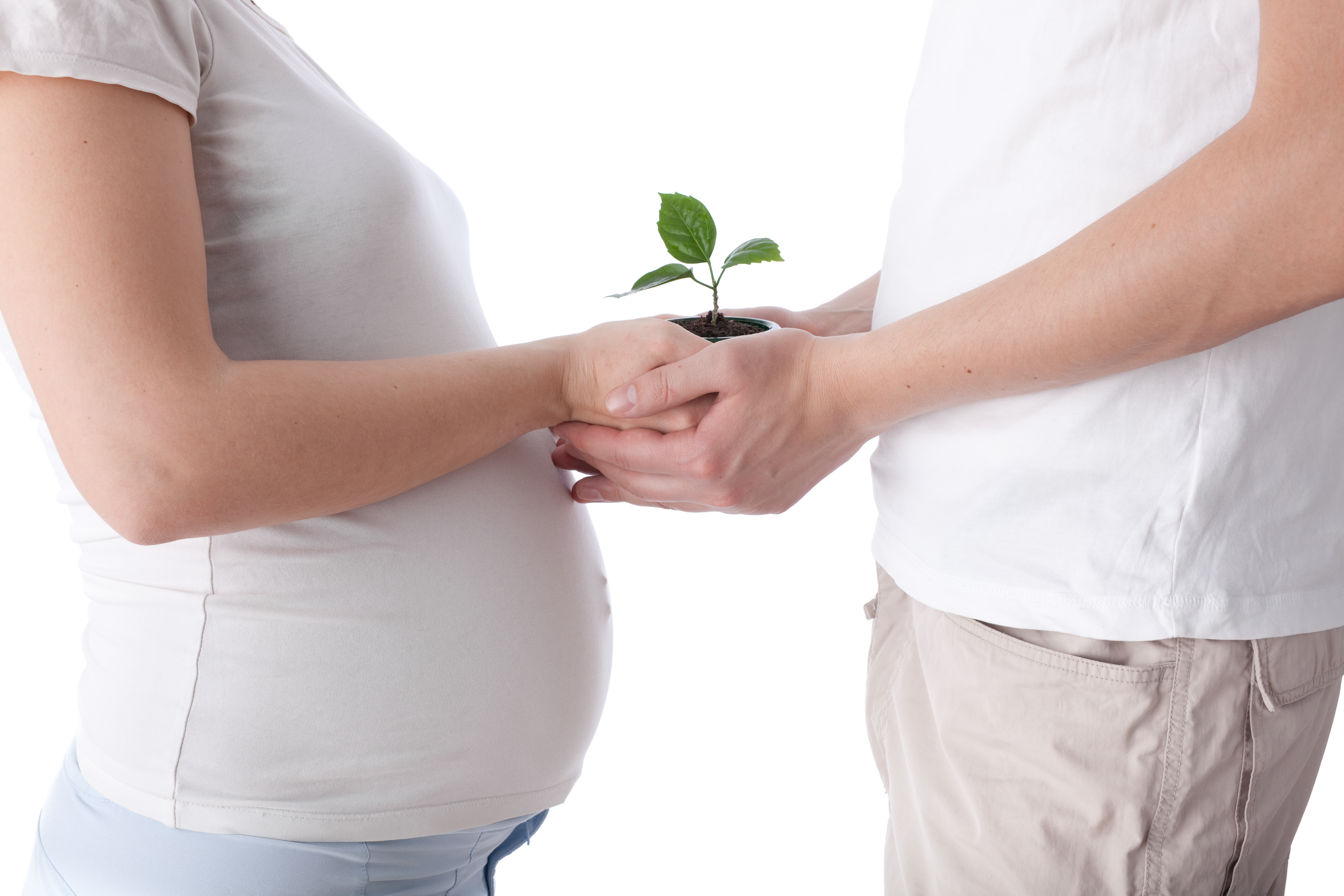 Nuevos avances en fertilidad: avances en alimentación