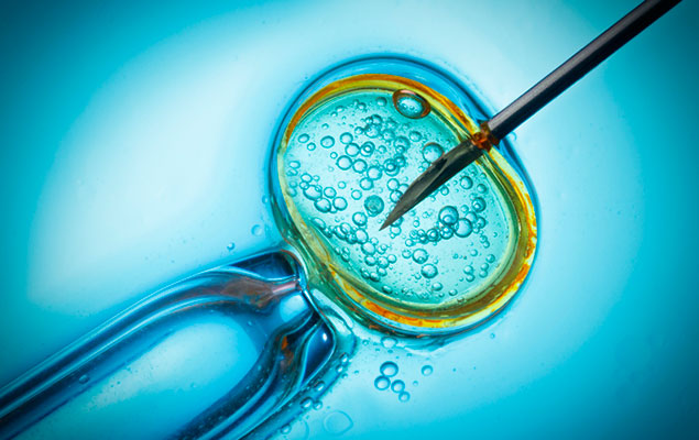Nuevos avances en fertilidad: fecundación in vitro