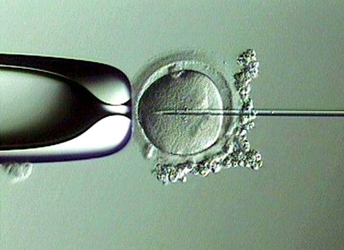Nuevos avances en fertilidad: tratamientos médicos 