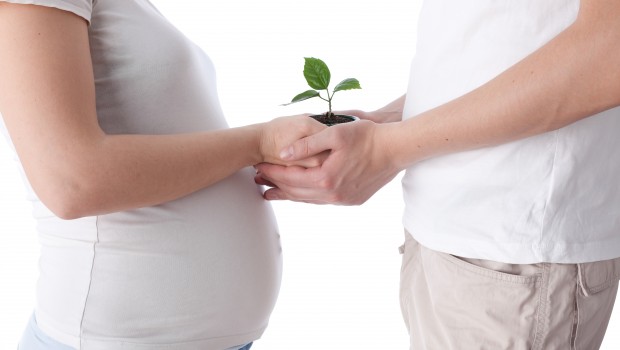 ¿Cuáles son las mejores clínicas de Fertilidad en Sevilla?