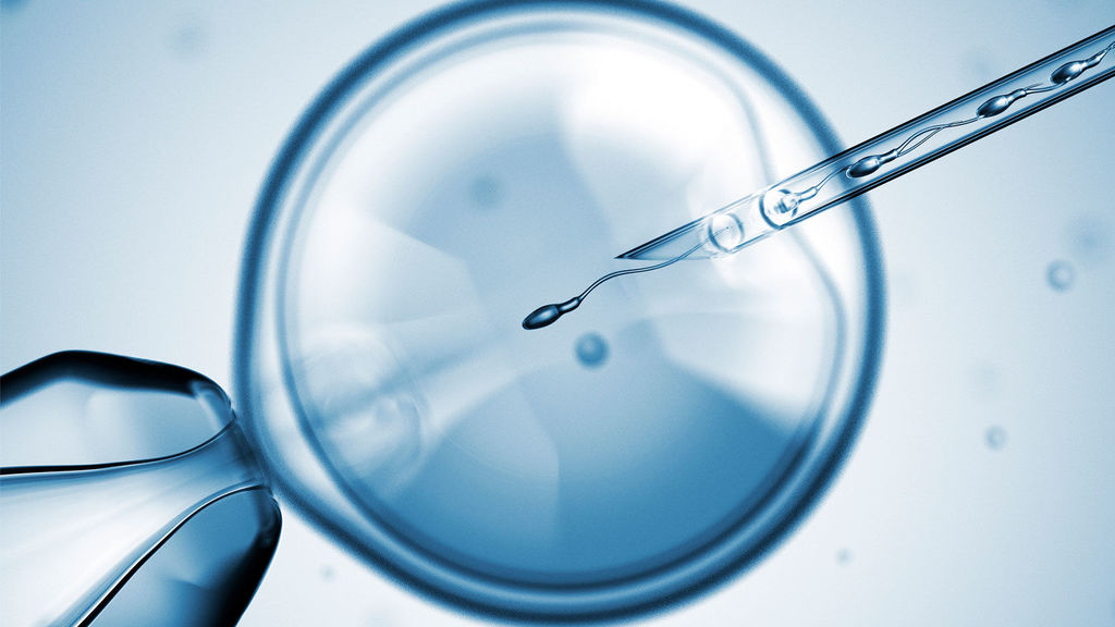 ¿Cuáles son las mejores clínicas de reproducción asistida en Cantabria?