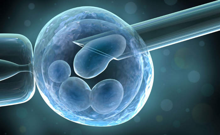 Cómo funciona la transferencia de embriones