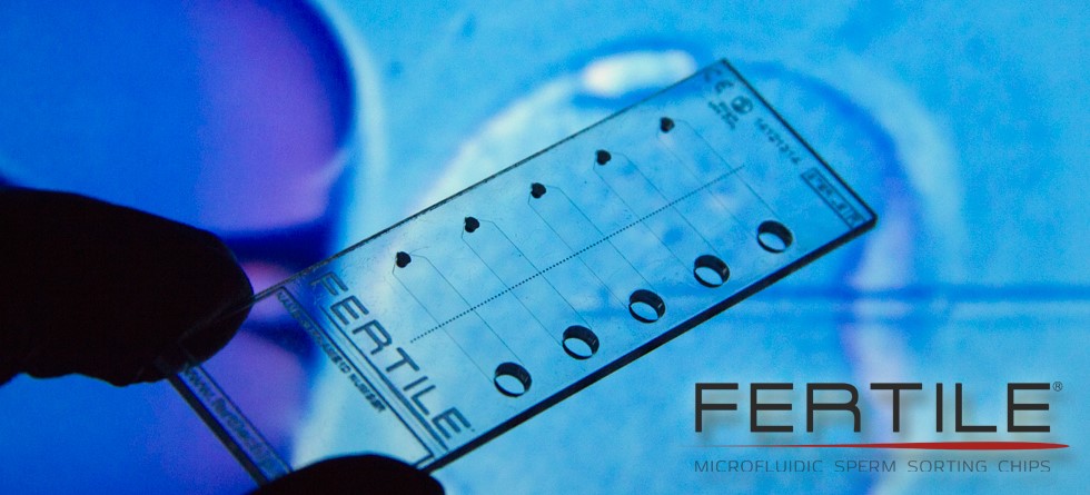 Fertilechip, la nueva técnica para seleccionar el esperma perfecto