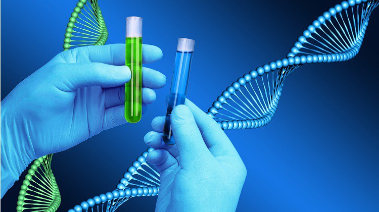 Qué es el Test De Compatibilidad Genética
