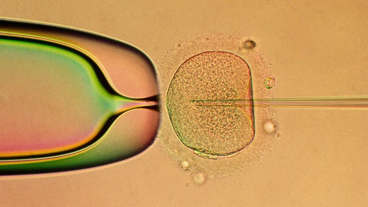 8 cosas que tu médico no le dirá sobre los tratamientos de fertilización in vitro