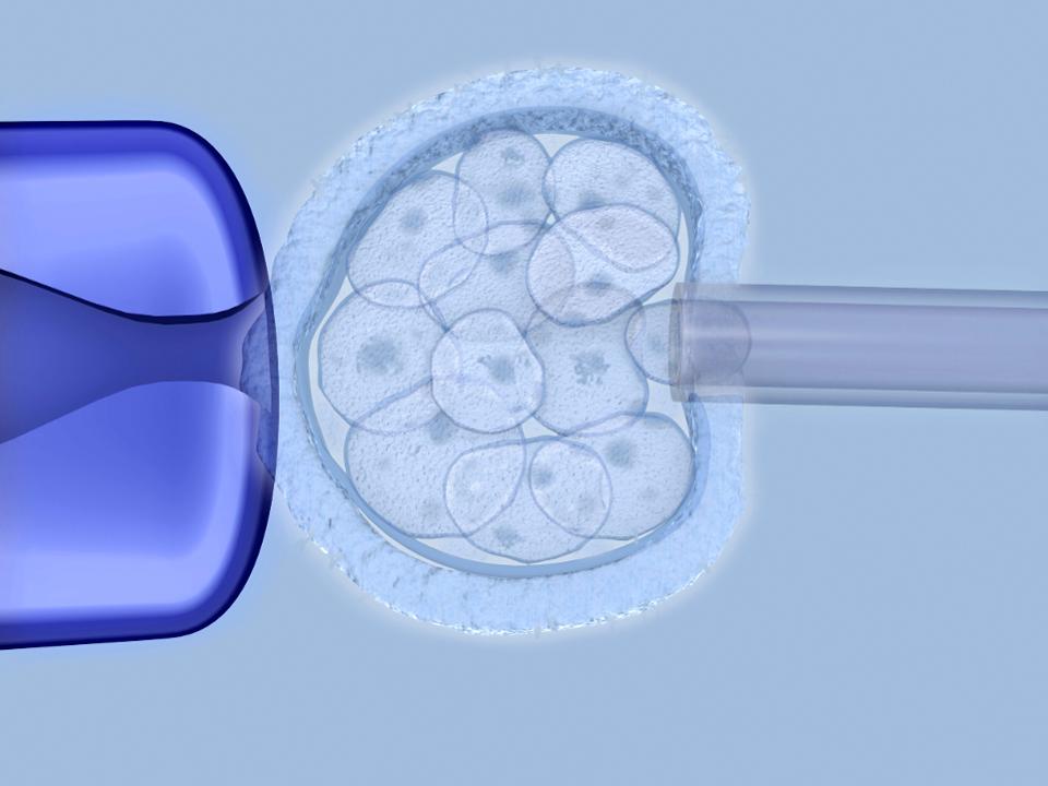 Biopsia líquida para embriones, una nueva técnica in vitro Biopsia que plantea inquietudes