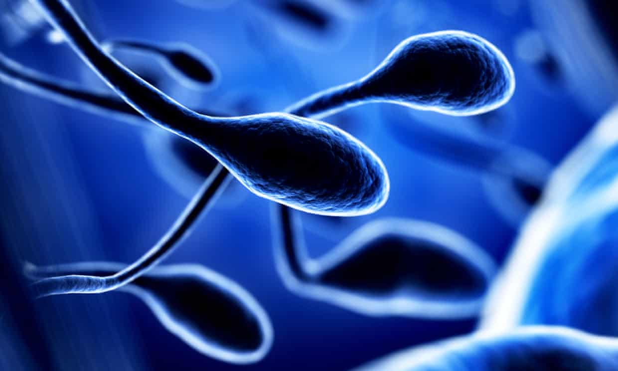 Los frutos secos aumentan la calidad del esperma y mejoran la fertilidad