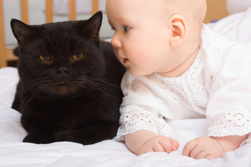 Cómo ayudar a tu mascota con la llegada del nuevo bebé