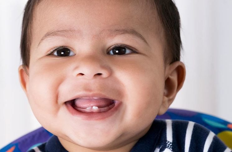 Dientes de leche para tratar cáncer y ataques cardíacos