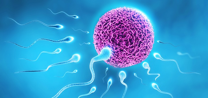Factores de estilo de vida que afectan la fertilidad