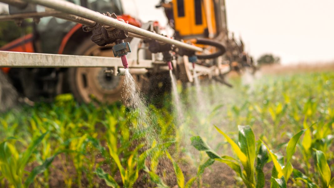 Toxinas ambientales contra las generaciones del futuro