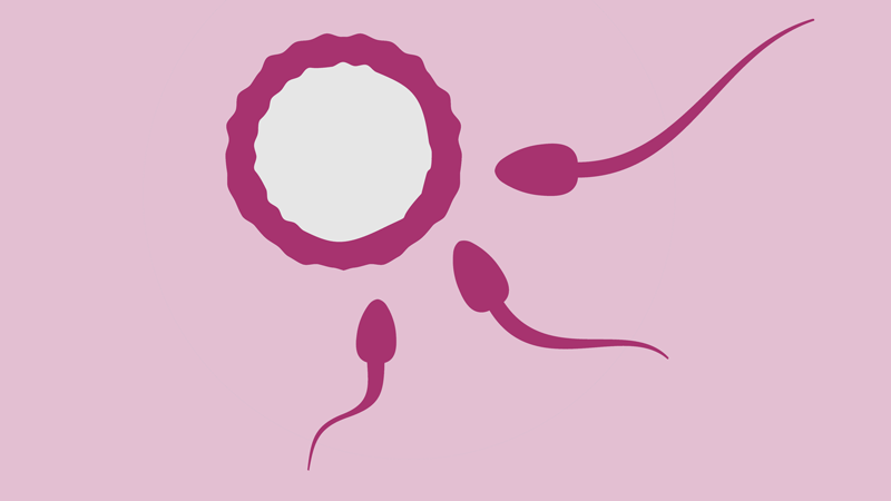 Mala calidad de esperma y cáncer testicular