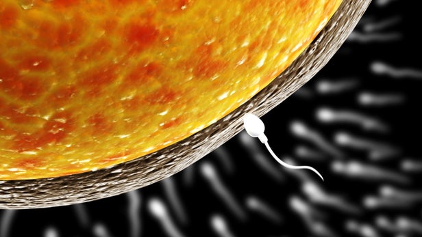 La molécula del sensor de esperma, clave para el futuro