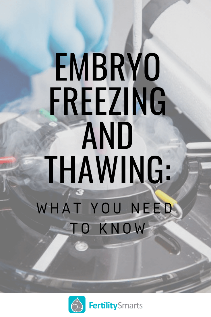 Embryo Freezing & Thawing: What You Need to Know