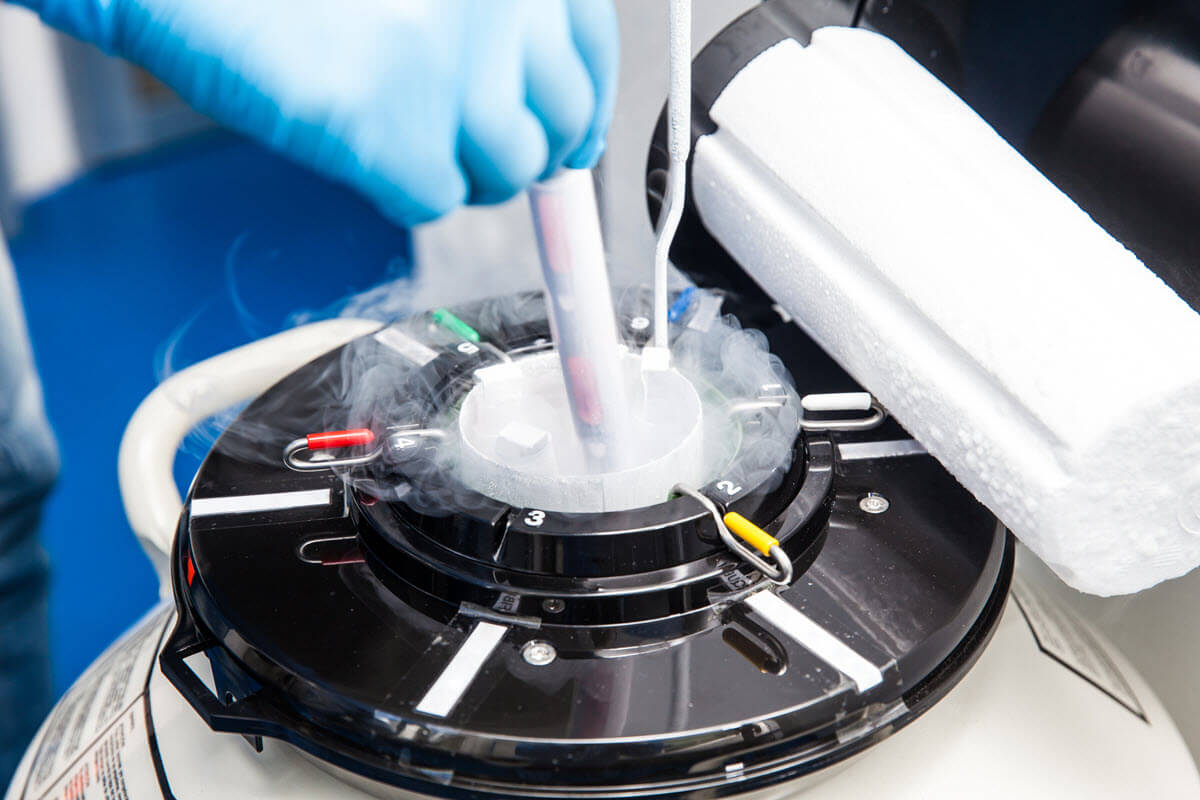 Congelación y descongelación de embriones: Lo que necesitas saber