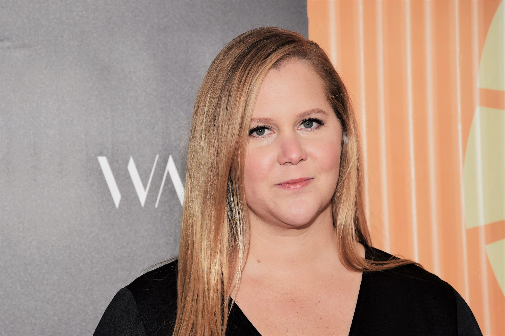 La petición de Amy Schumer de asesoramiento sobre FIV