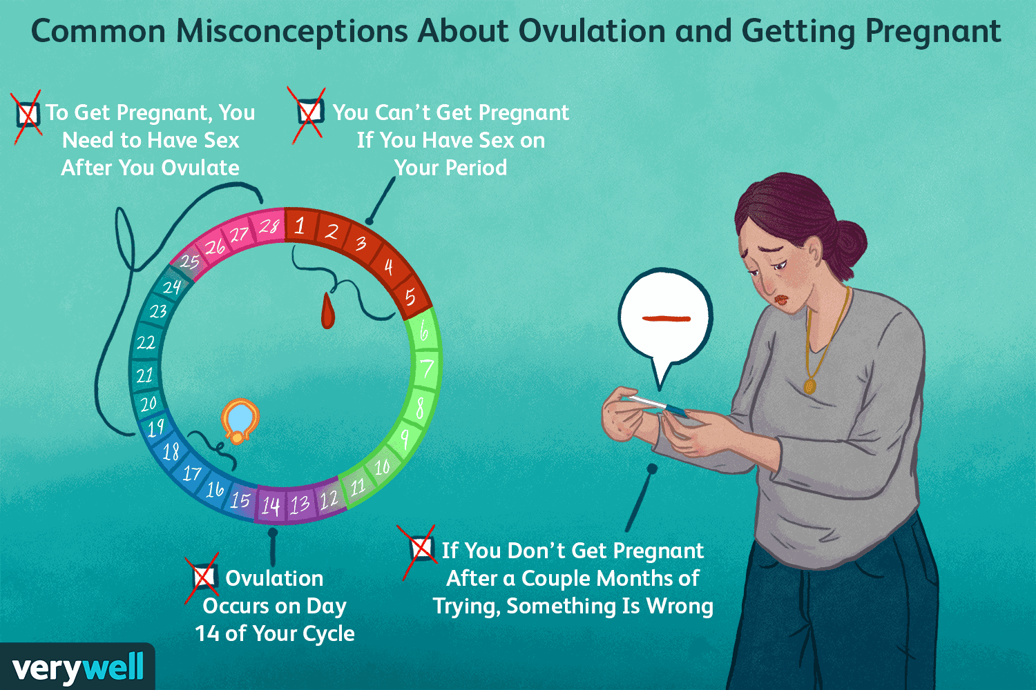 16 mitos sobre el embarazo y la ovulación