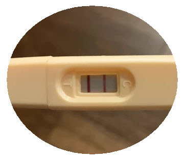 Positive Two Line Ovulation Test
