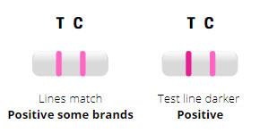 Positive Ovulation Kit Results