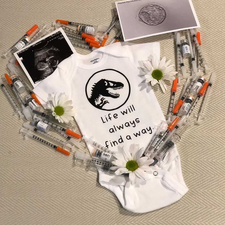 Nerdy IVF Pregnancy Announcement 