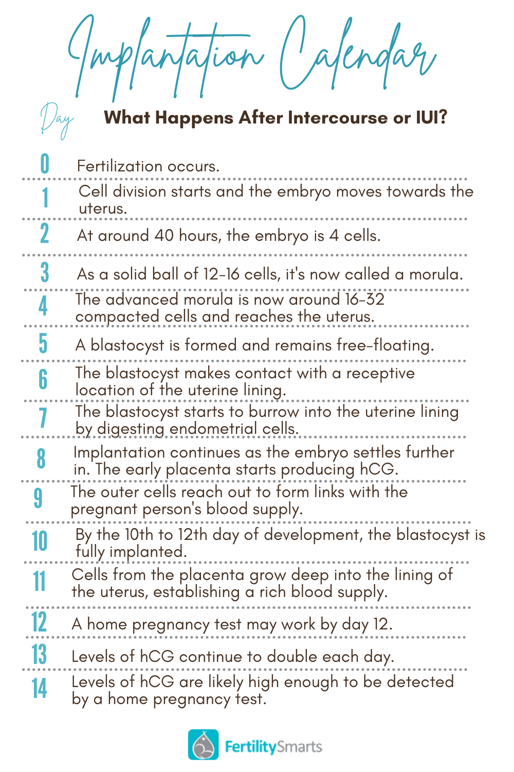 An implantation timeline after intercourse or IUI.