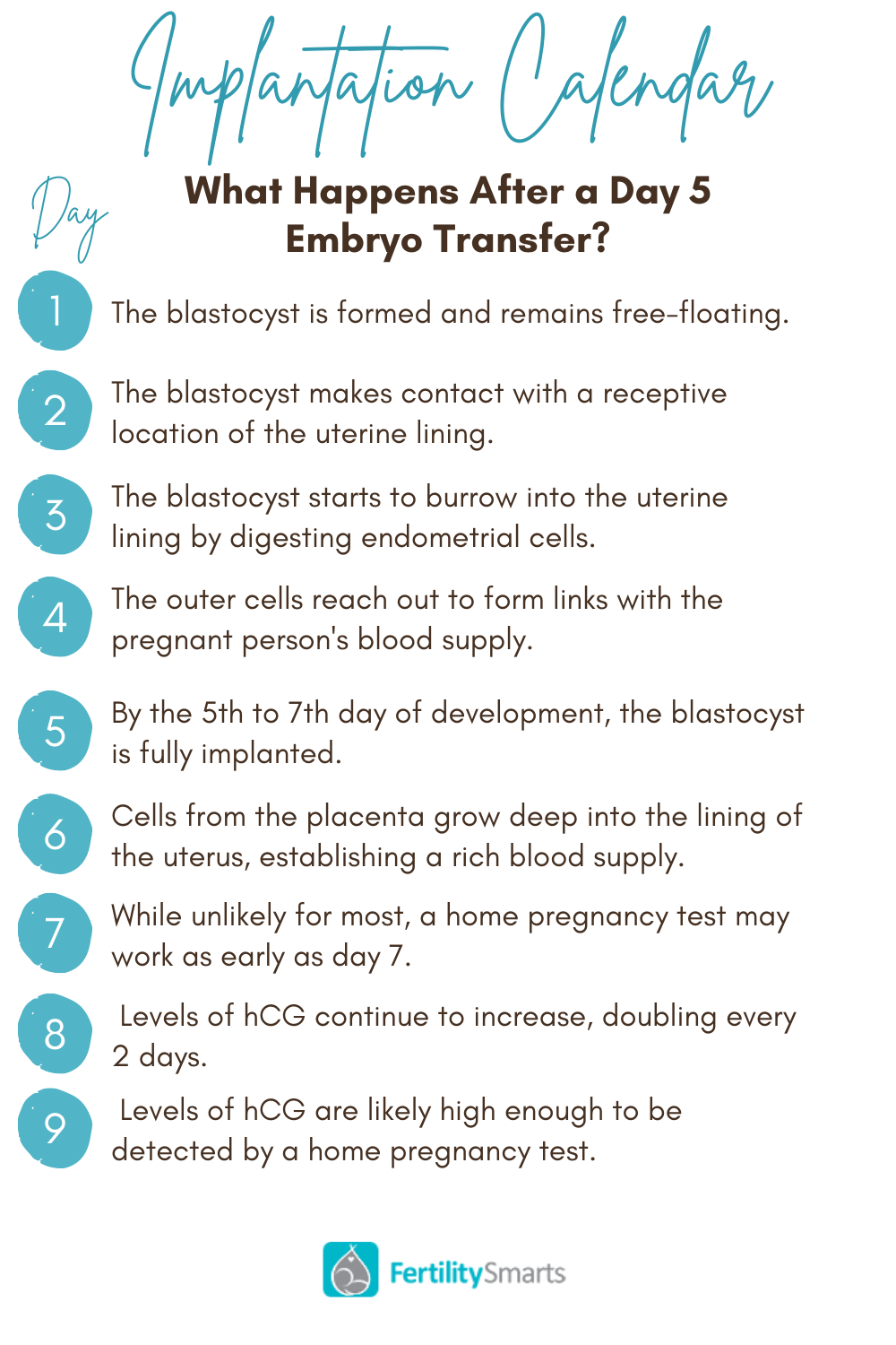 An implantation timeline after a 5 day embryo transfer