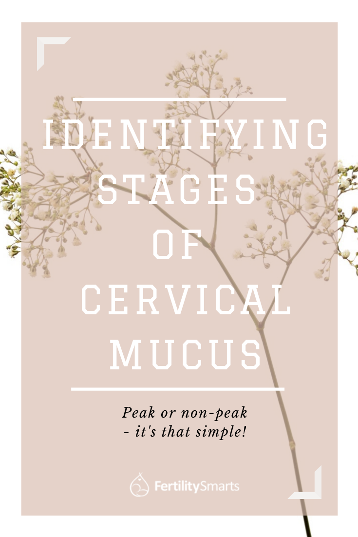 Pinterest Pin Title: Identifying Stages of Cervical Mucus