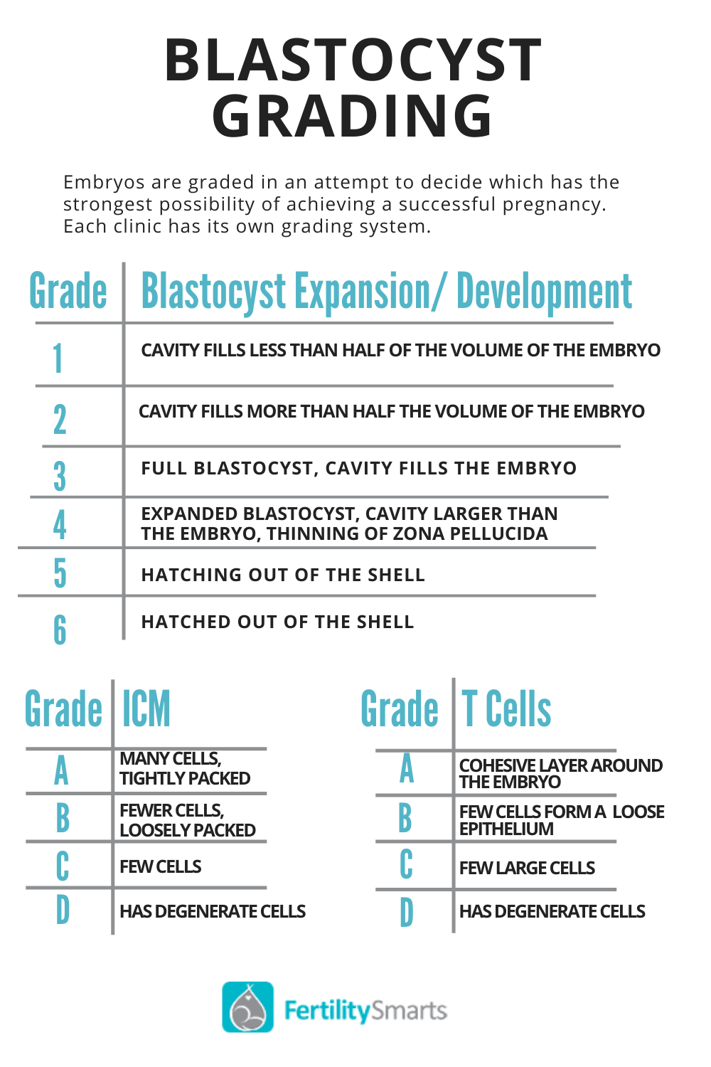 The elements used to grade a blastocyst in the IVF lab.