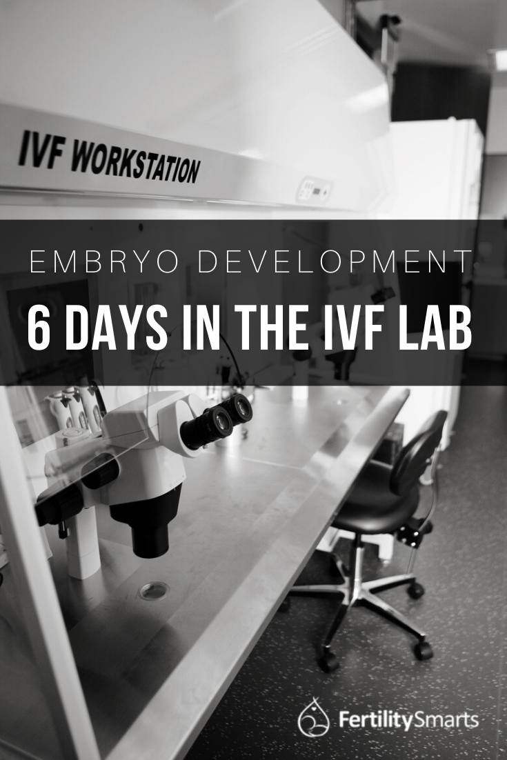 6 Days in the IVF Lab