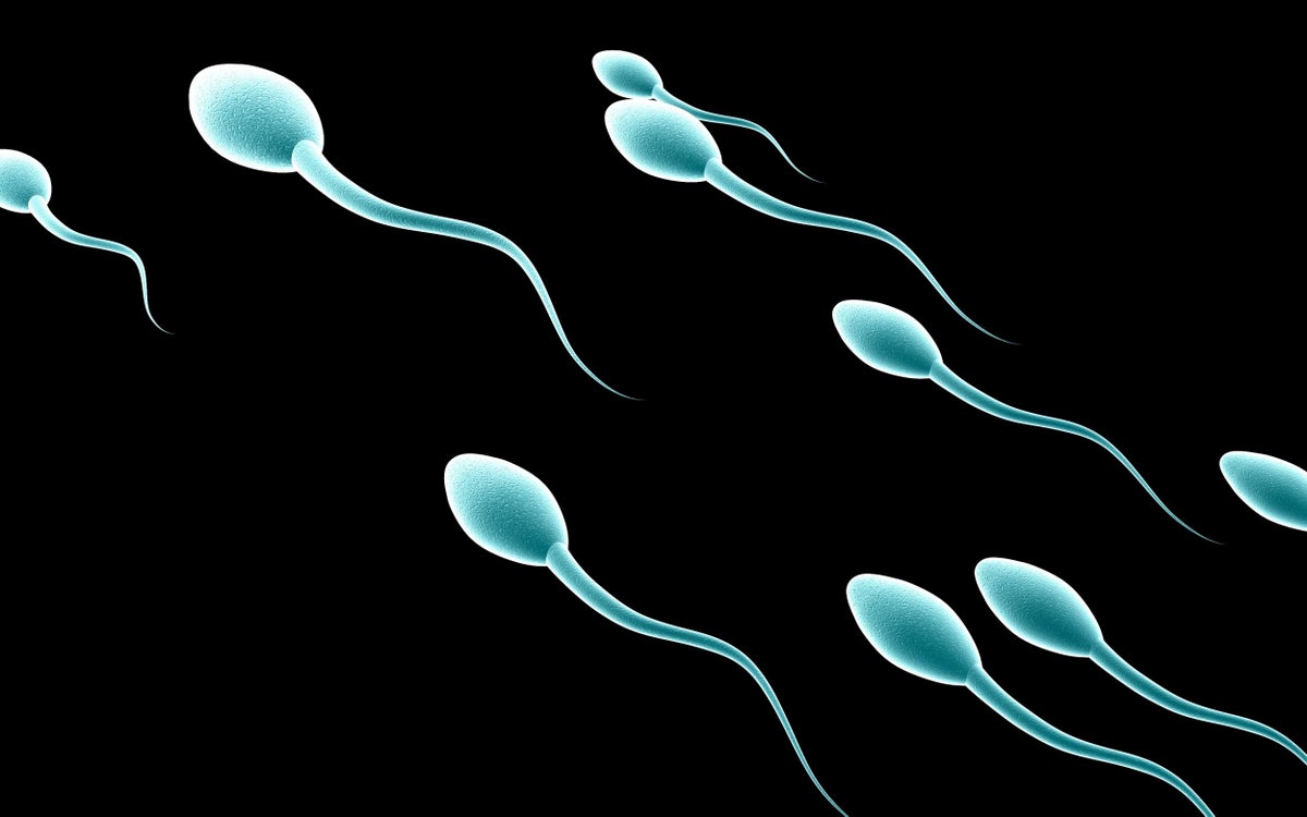 La fertilidad en Occidente se ve amenazada por el drástico descenso del número de espermatozoides en los hombres
