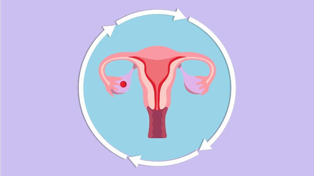 Cómo saber si tienes una menstruación irregular