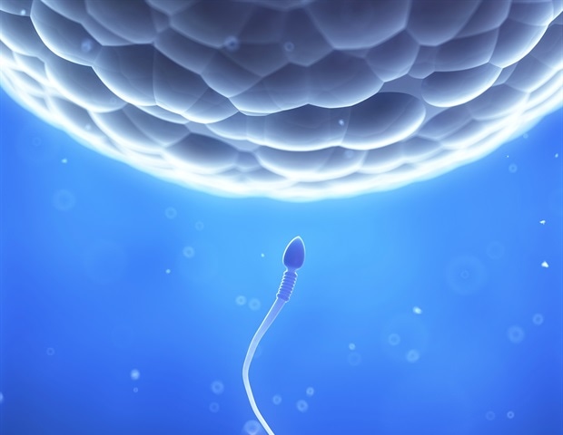 Que factores influyen en la salud de los espermatozoides