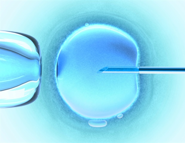 Una proteína podría ayudar a los tratamientos de la infertilidad y a proteger la fertilidad en el futuro