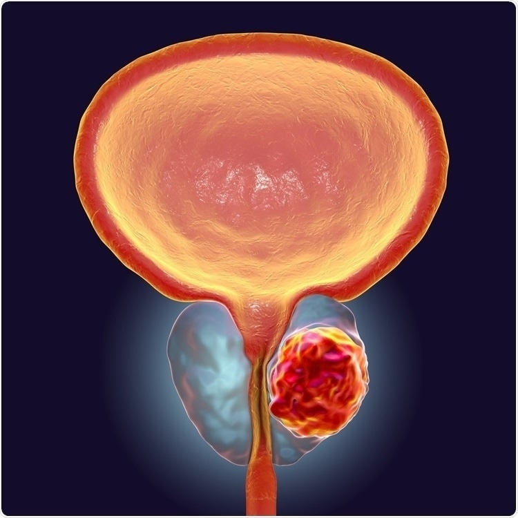 Insight into Sustained-Release Drug Delivery Systems