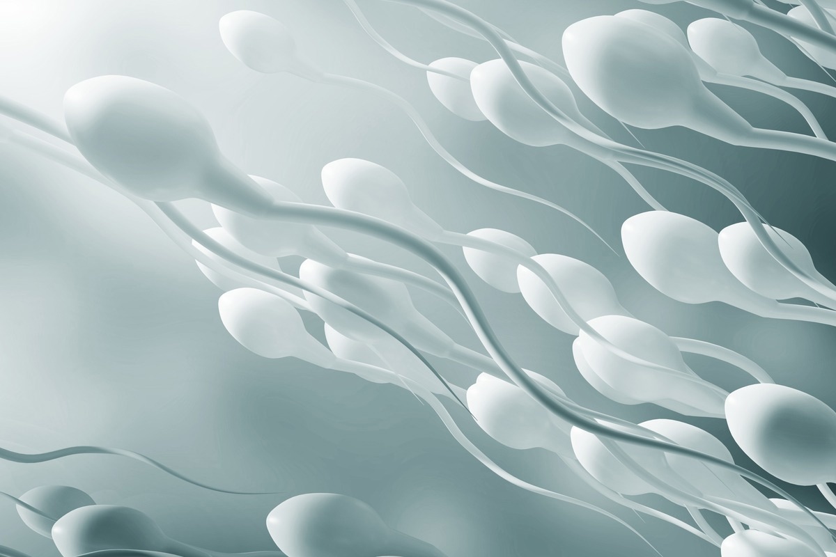 Study: Covid-19 vaccination BNT162b2 temporarily impairs semen concentration and total motile count among semen donors. Image Credit: KateStudio/Shutterstock Study: Covid-19 vaccination BNT162b2 temporarily impairs semen concentration and total motile count among semen donors. Image Credit: KateStudio/Shutterstock