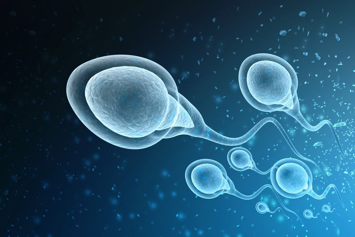 La viabilidad de la criopreservación de esperma en pacientes masculinos de COVID-19