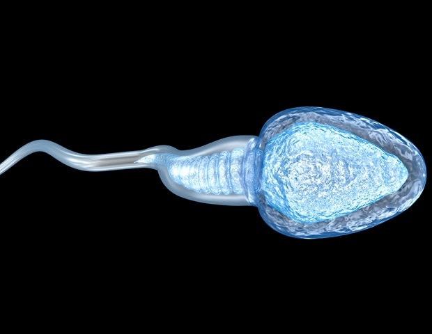 Se encuentra un nuevo vínculo genético con la infertilidad masculina