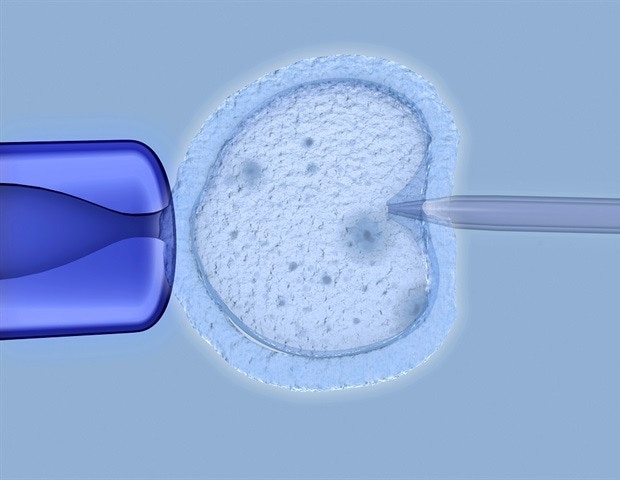 Un estudio determina el motivo del fracaso de los embriones de la FIV