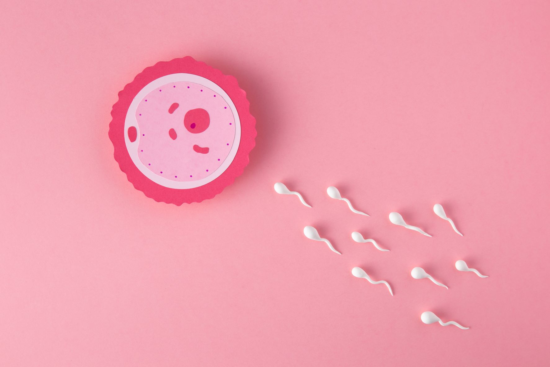 21 formas sorprendentes de aumentar la fertilidad