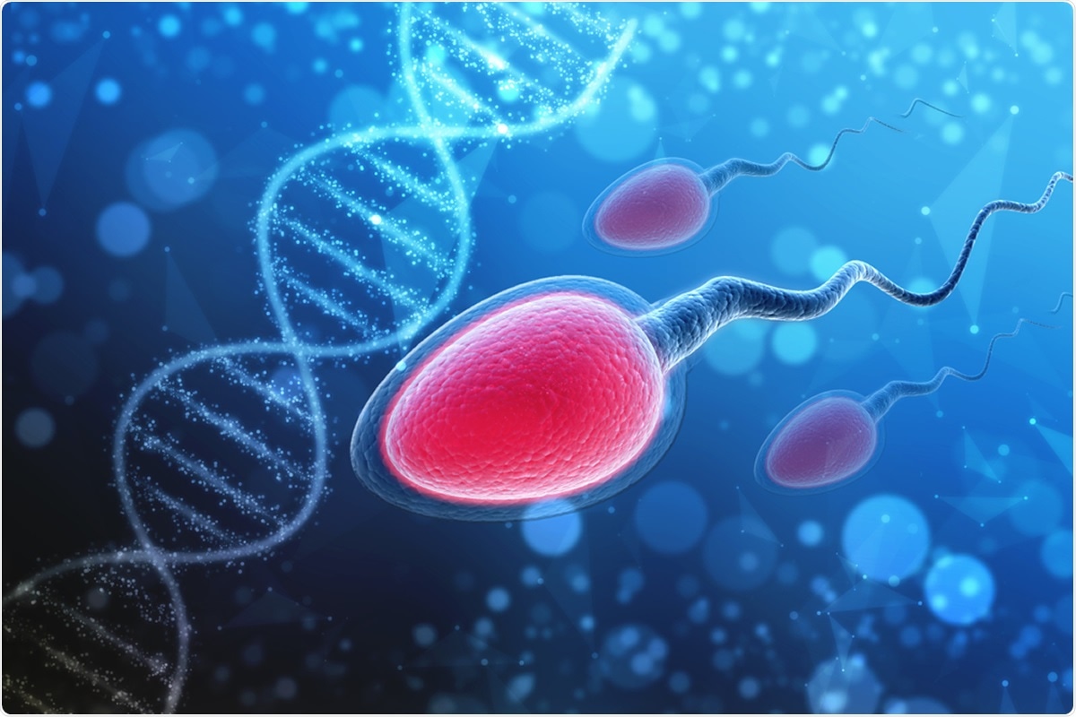 Study: The other side of COVID-19 pandemic: Effects on male fertility. Image Credit: Blackboard / Shutterstock