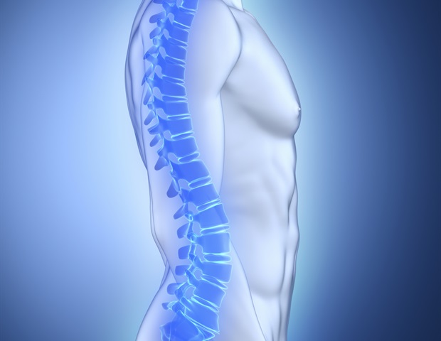La oxitocina puede ayudar a controlar y prevenir la osteoporosis