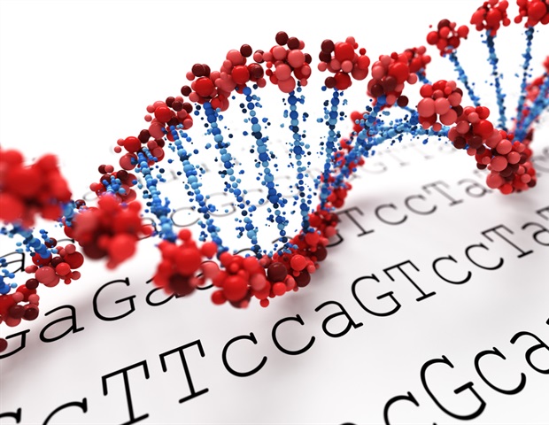 Nuevos conocimientos sobre genética humana