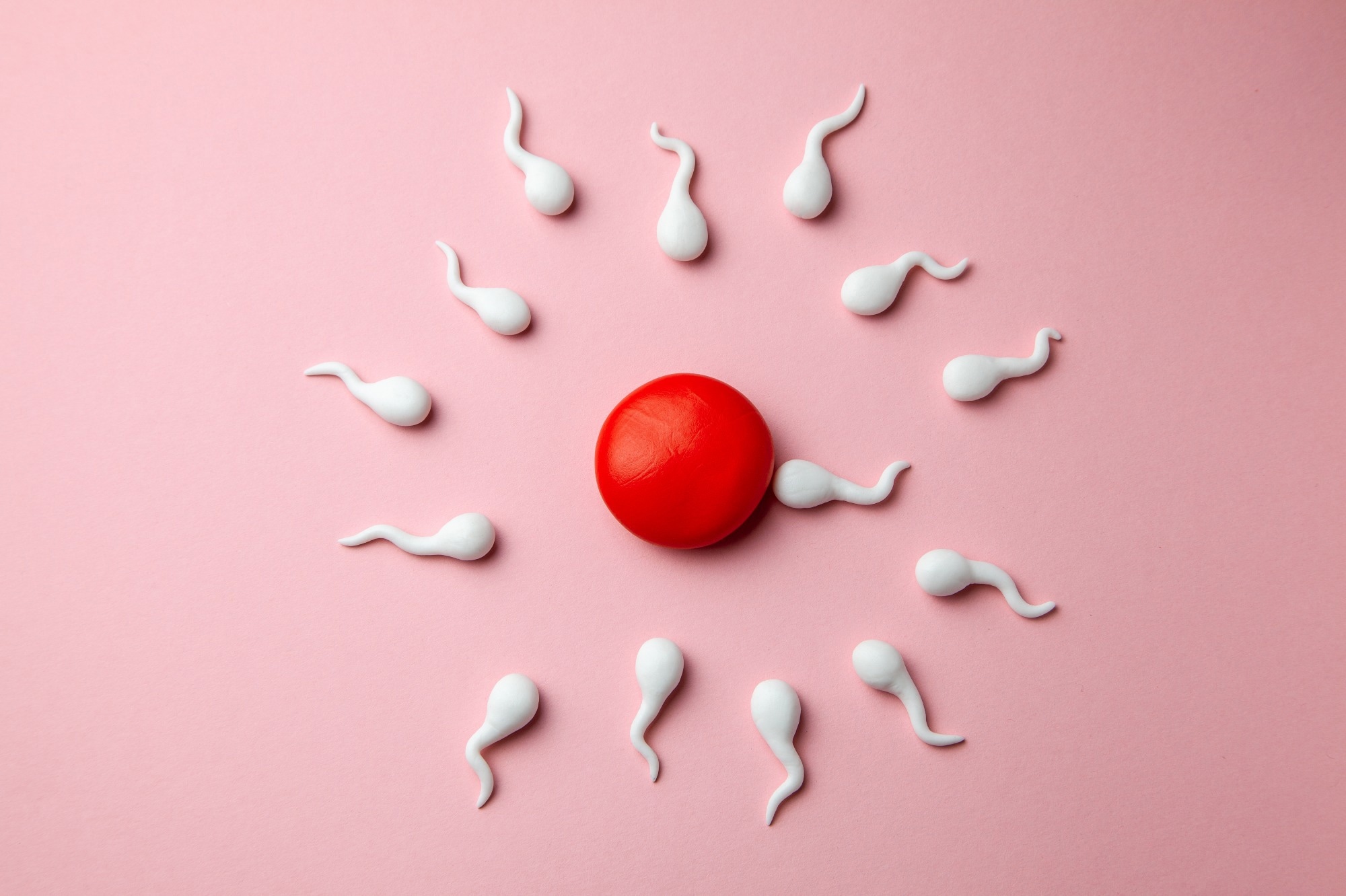 Un estudio investiga la relación entre posibles sustancias químicas que alteran el sistema endocrino y la fertilidad femenina