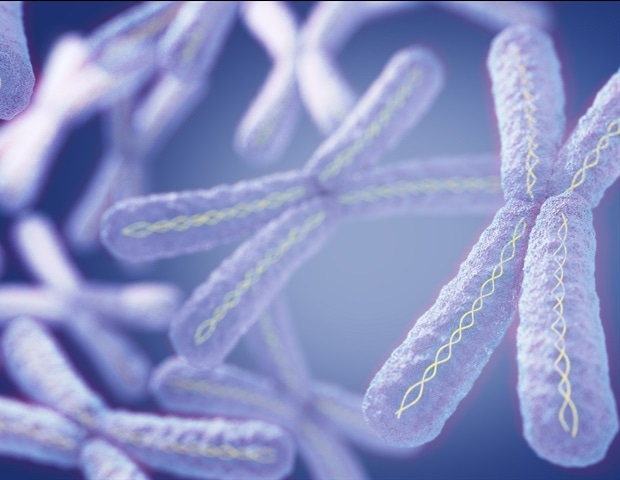 Investigadores del MGH identifican un mecanismo clave en la inactivación del cromosoma X