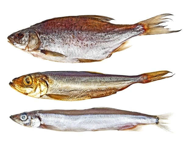 Los peces expuestos a sustancias químicas pueden causar efectos biológicos adversos en animales y humanos