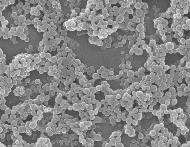 Una nueva plataforma ayuda a investigar los efectos nocivos de los microplásticos y nanoplásticos